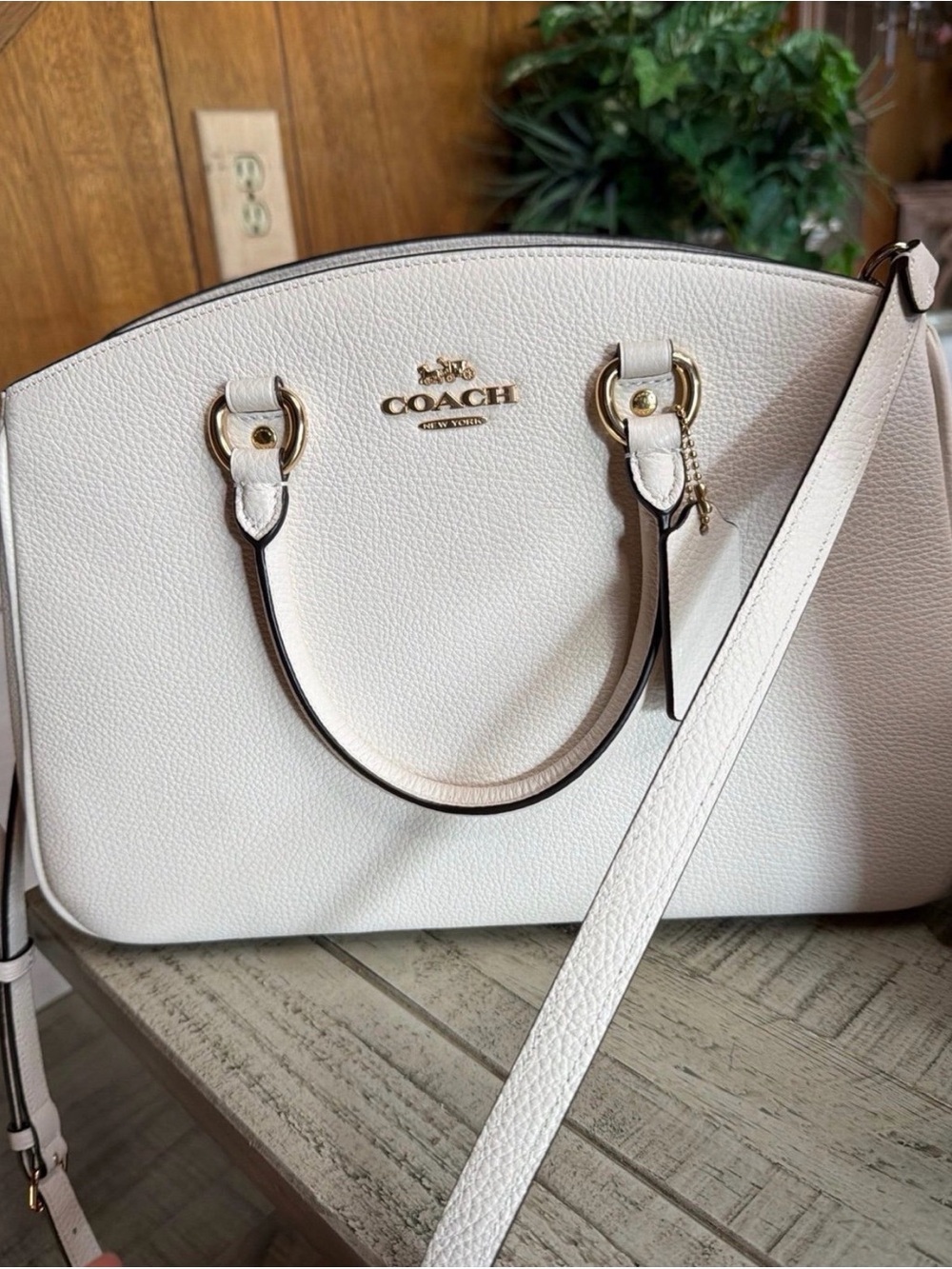 Coach Savannah Carryall Bag
